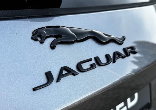 Jaguar F-Pace cena 299900 przebieg: 23713, rok produkcji 2023 z Kępice małe 326